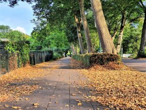 Herfst